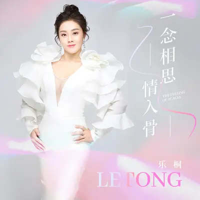 一念相思情入骨封面