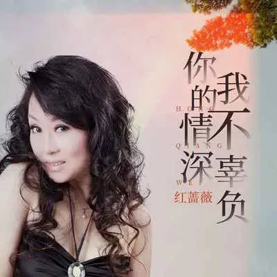 你的情深我不辜负(DJ默涵版)(DJ默涵版)封面