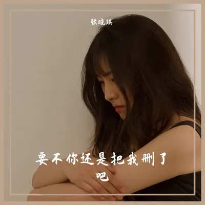 要不你还是把我删了吧封面