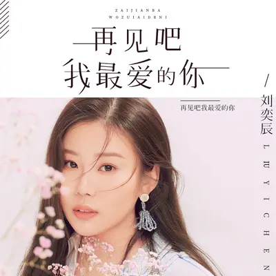 再见吧我最爱的你封面