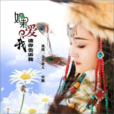 如果爱我请你告诉我封面