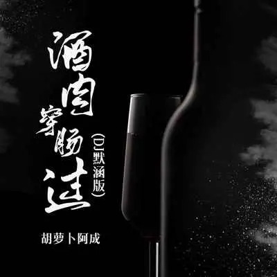酒肉穿肠过(DJ默涵版)(DJ默涵版)封面