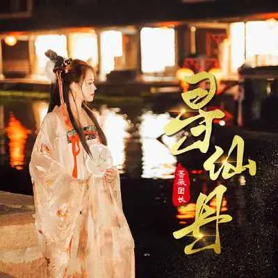 寻仙丹(DJ默涵版伴奏) - 蔷薇团长封面