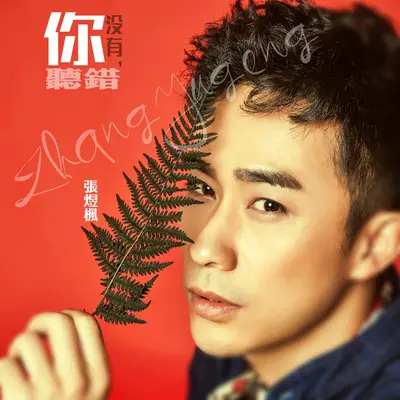 你没有听错封面