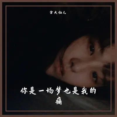 你是一场梦也是我的痛 - 含大仙儿封面