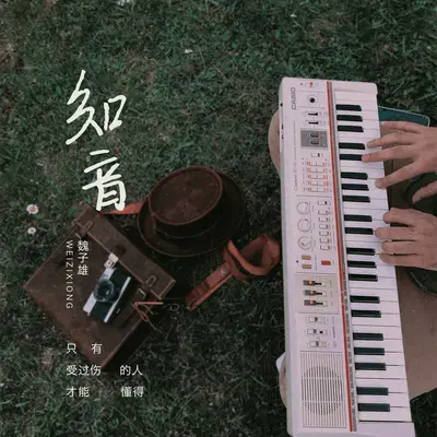 知音封面