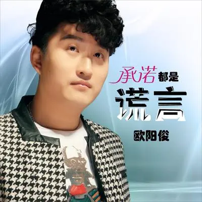 承诺都是谎言（DJ何鹏版伴奏） - 欧阳俊封面
