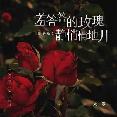 羞答答的玫瑰静悄悄地开(粤语版)(粤语版)封面