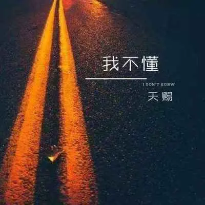 我不懂封面