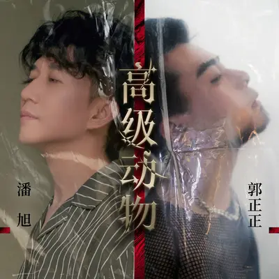 高级动物(DJ House Studio)(DJ House Studio)封面