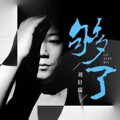 够了(DJ陌梦版)(DJ陌梦版)封面