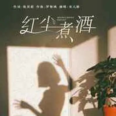红尘煮酒(DJ沈念版)(DJ沈念版)封面