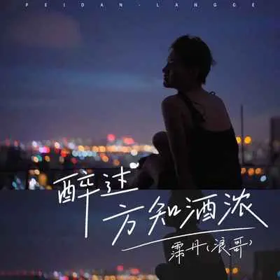 醉过方知酒浓(DJ陌梦版)(DJ陌梦版)封面