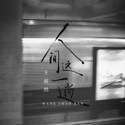 人间这一趟封面