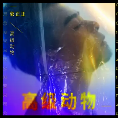 高级动物封面
