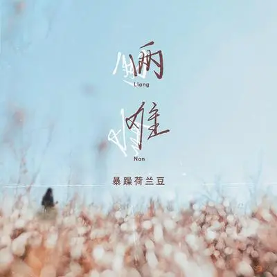 两难 - 暴躁荷兰豆封面