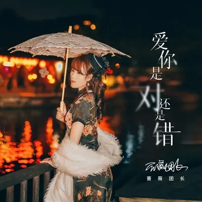 爱你是对还是错(DJ默涵版)(DJ默涵版) - 蔷薇团长封面