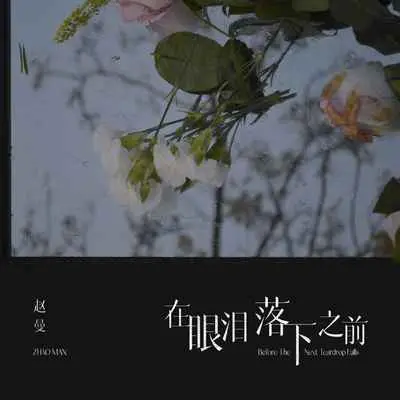 在眼泪落下之前(DJ九零版)(DJ九零版)封面