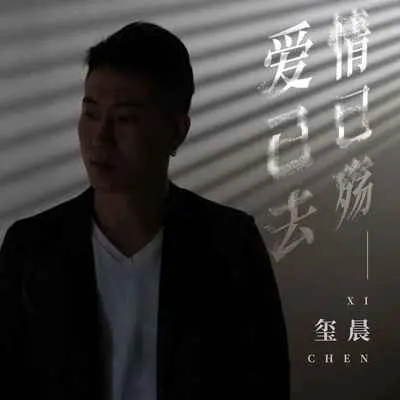 爱已去情已殇(DJ九零版)(DJ九零版)封面
