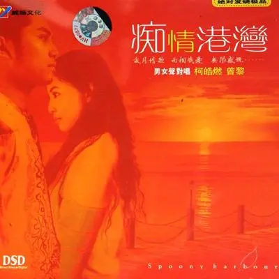 那一年这一天 - 柯皓燃 / 曾黎封面