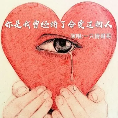 你是我曾经拼了命爱过的人封面
