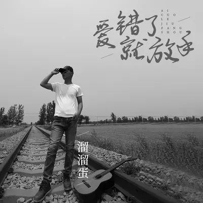 爱错了就放手 - 溜溜蛋封面