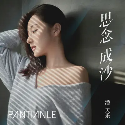 思念成沙封面