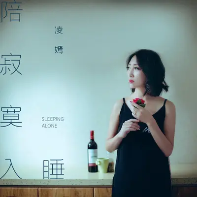 陪寂寞入睡封面