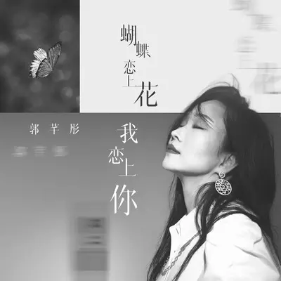 蝴蝶恋上花我恋上你封面