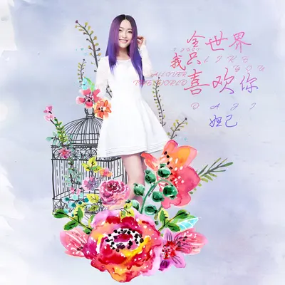 全世界我只喜欢你封面