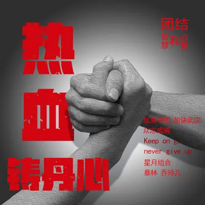 热血铸丹心封面