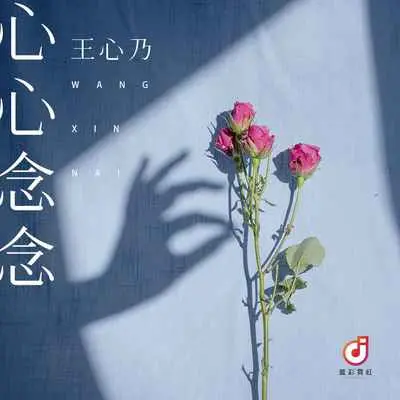 心心念念(DJ版)(DJ版) - 王心乃封面