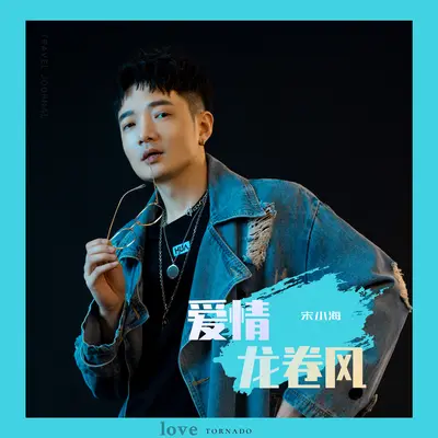 爱情龙卷风封面