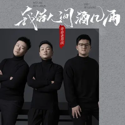 我借人间酒几两(DJ陌梦版)(DJ陌梦版)封面