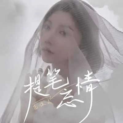 提笔忘情封面