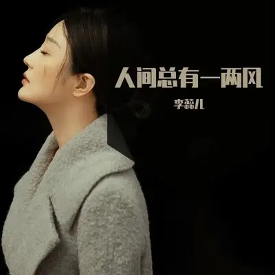 人间总有一两风(DJ九零版)(DJ九零版)封面