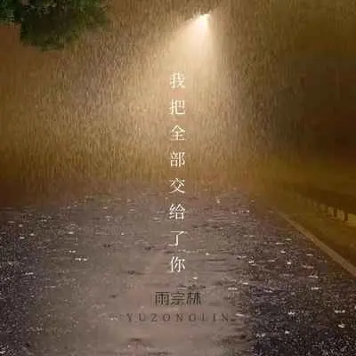 我把全部交给了你封面