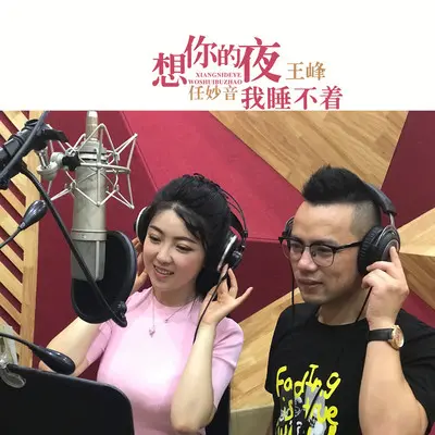 想你的夜我睡不着封面