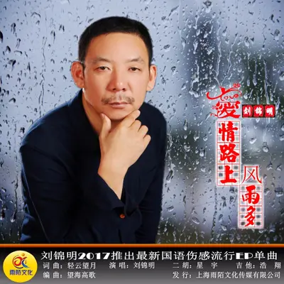 爱情路上风雨多封面
