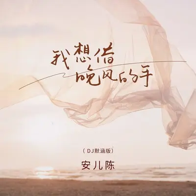 我想借晚风的手(DJ默涵版)(DJ默涵版)封面