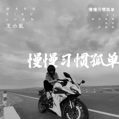 慢慢习惯孤单封面