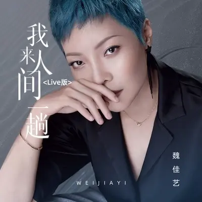 我来人间一趟(live版)(live版) - 魏佳艺封面