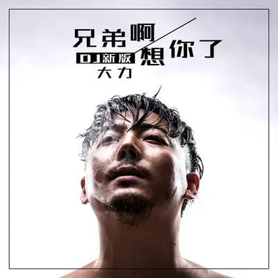 兄弟啊想你了(DJ新版)(DJ新版)封面