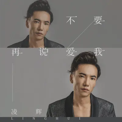 不要再说爱我封面