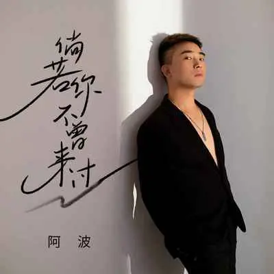 倘若你不曾来过封面