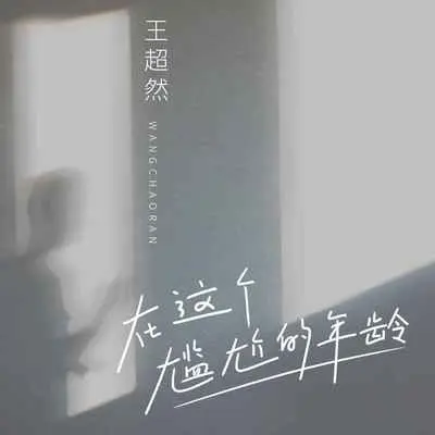 在这个尴尬的年龄封面