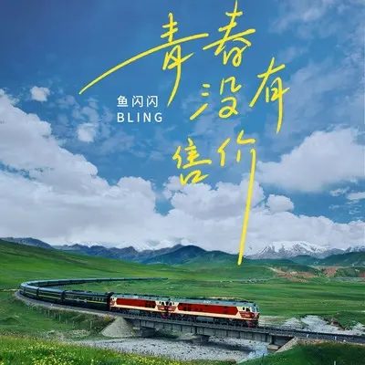 青春没有售价(DJ阿卓版)(DJ阿卓版)封面