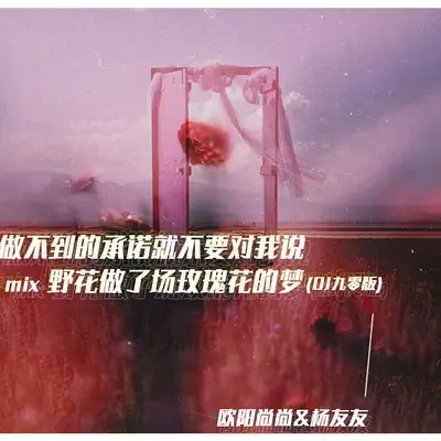 做不到的承诺就不要对我说mix野花做了场玫瑰花的梦(DJ九零版)(DJ九零版)封面
