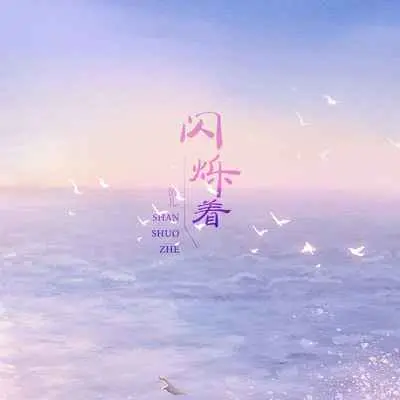闪烁着(DJ默涵版)(DJ默涵版)封面