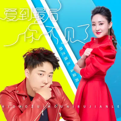 爱到最后你不见了封面